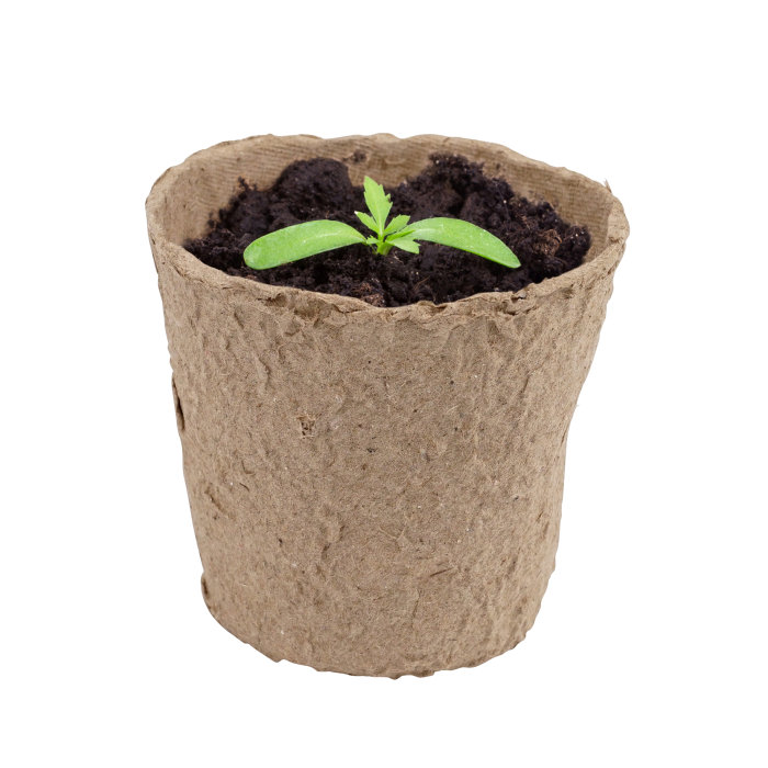 Fiberkruka 16-pack Garden